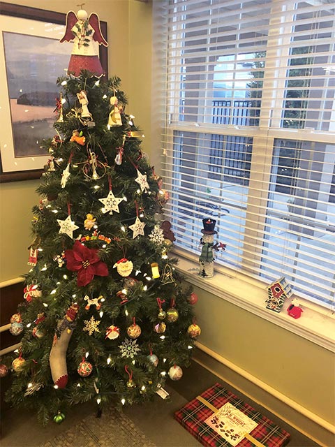 Christmas tree in front of window