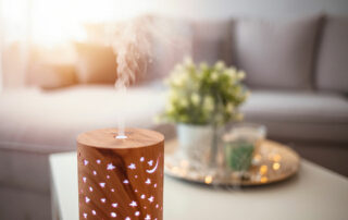 Essential oil diffuser sitting on table in front of couch next to plants