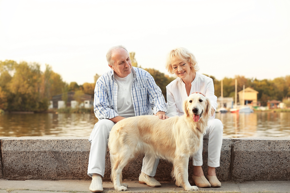 A senior couple out on a walk with their dog