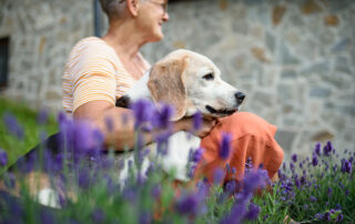 A happy senior woman sits outside with her yellow lab.
