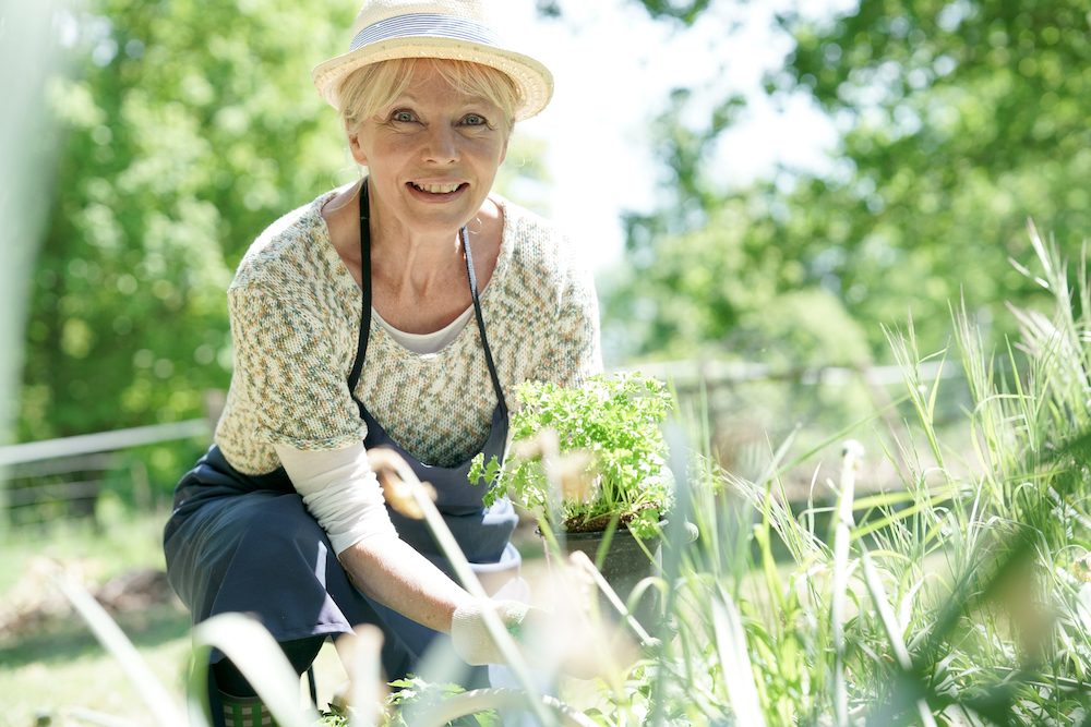 A senior woman plants a garden on a beautiful spring day